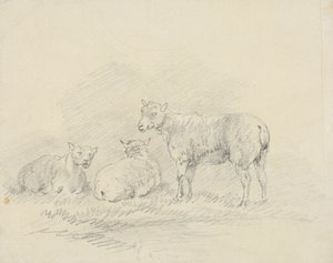 Três Ovelhas de Sawrey Gilpin