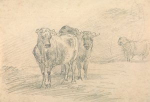 Duas vacas numa colina de Sawrey Gilpin