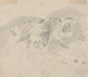 Dois Leopardos de Sawrey Gilpin
