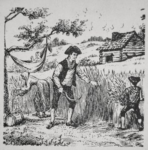 Uma colheita familiar de milho (litho) de School American