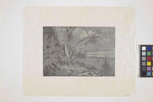 Paisagem (gravura em madeira) de School American