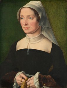 Mulher de um membro da família de Hondecoeter de School Antwerp