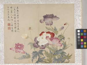 Álbum de 8 folhas de flores, meados de 1700 (tinta e cor sobre papel) de School Chinese