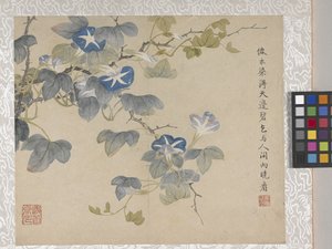 Álbum de 8 folhas de flores, meados de 1700 (tinta e cor sobre papel) de School Chinese