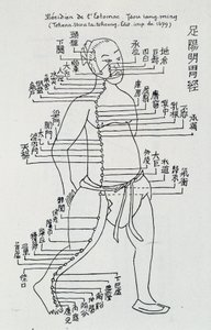 Acupunctura: "Meridiano do estômago", Ed. de School Chinese
