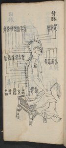 Pontos de acupuntura ao longo da coluna e cabeça, de Jing Guan Qi Zhi, 
