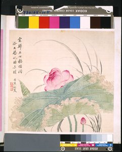 Álbum de flores e pássaros, data desconhecida (tinta e cor sobre seda) de School Chinese