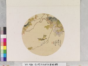 Pássaro em ramo de uva de School Chinese