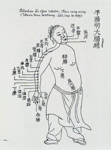 Acupunctura chinesa: o intestino grosso de School Chinese