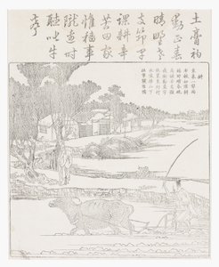 Arando com um búfalo em arrozal lamacento. de School Chinese