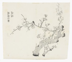 Série Dez Bambus de School Chinese