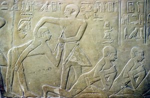 Antigo Egipto, Relevo, Anciãos das aldeias obrigados a admitir as suas declarações fiscais incorrectas aos funcionários, Túmulo de Merereuka, 6ª dinastia (foto) de School Egyptian