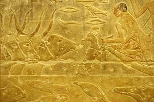 Antigo Egipto, Entalhe/pintura mural, Mastaba/Túmulo de Idout, Saqqara, 6ª Dinastia, Gado a atravessar um rio, Homem a ajudar um vitelo a atravessar um rio, Mãe a observar (foto) de School Egyptian