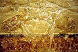 Antigo Egipto, Escultura/Pintura mural, Mastaba/Túmulo de Idout, Saqqara, 6ª Dinastia, Dois hipopótamos em luta (foto) de School Egyptian