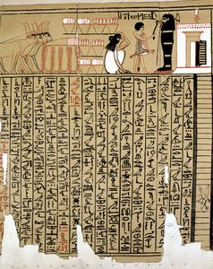 Hieróglifos Egípcios de School Egyptian