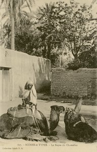 Le Repos du Chamelier, c.1890-1914 (foto a p/b) de School French