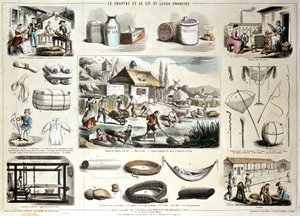 cânhamo, linho e seus produtos de School French