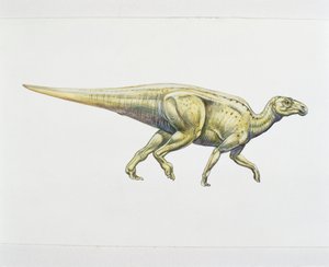 Hadrosaurido ou dinossauro de bico de pato (cor litho) de School Italian