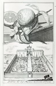 Vila do Marquês Spolverini de Verona, de "Villas, Jardins e Paisagens em Veneza" de A. Volkamer (gravura) de School Italian