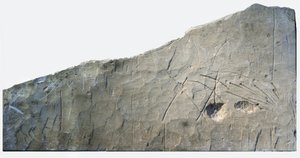 Inscrição de Beth Loya, sopé judaico, Israel, século VI a.C. (pedra)