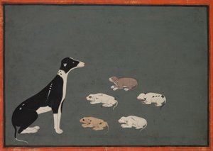 Cão com cachorros, c.1780 (tinta e aguarela opaca sobre papel) de School Mughal