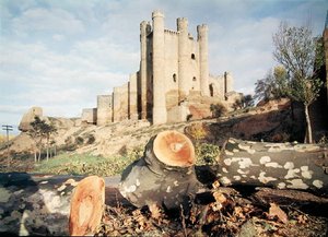 O Castillo de Coyanza, construído no século XIV-XVIII pelos Condes de Valência (foto) de School Spanish