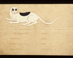 Folha de um manuscrito sobre gatos siameses, início do século XX (aguarela sobre papel) de School Thai