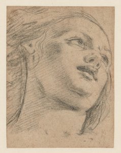 Estudo de cabeça feminina olhando para cima (reto); Estudo de duas figuras apoiando um objeto (verso) de School of Guido Reni