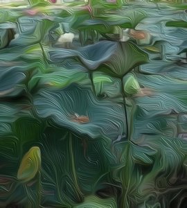 Lily Pond1 de Scott J. Davis