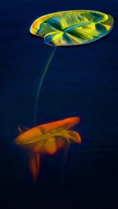 T_Lily3 de Scott J. Davis