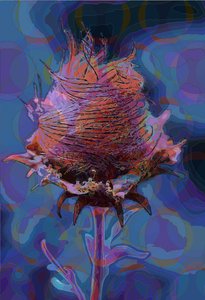 Avens de madeira, 2019 de Scott J. Davis