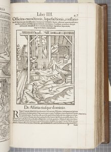 Cosmographia, Fol 437, 1544 de Sebastian Munster