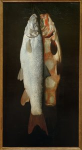 Peixes ainda vivos de Sebastian Stosskopf