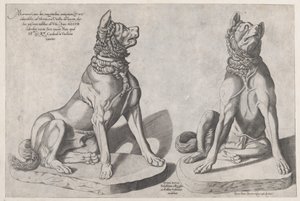 Dois Cães, 1558 de Sebastiano di Re