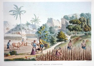 Trabalhadores agrícolas, Guam, Filipinas, de 