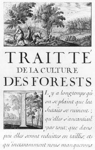 Ms 260 Volume IV Frontispício de &39;Tráfico da cultura da floresta&39; de &39;Oisivetes de M. Vauban contendo várias Memórias ou Ramas do seu caminho&39;