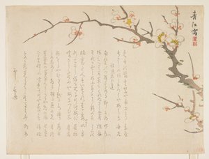 Ameixa de floração, janeiro de 1837 (impressão em xilogravura a cores) de Seik Hashimoto