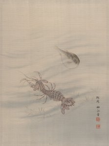 Fundo do mar mostrando Cray Fish, ca. 1890-92.