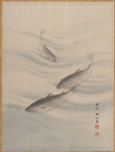 Peixes Natação, ca. 1890-92.