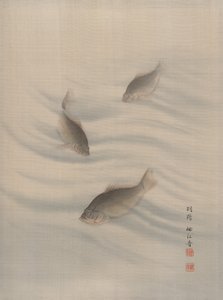 Peixes Natação, ca. 1890-92.