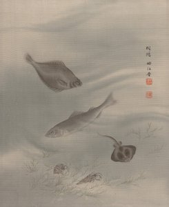 Peixes, aprox. 1890-92.