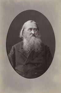 Retrato do poeta Aleksey Nikolayevich Pleshcheyev 1825-1893, 1870