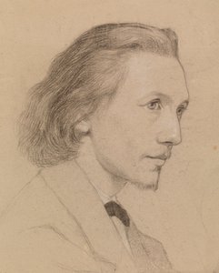 Retrato de um homem de Severin Falkman