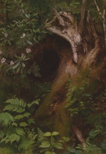 O esquilo de Seymour Joseph Guy