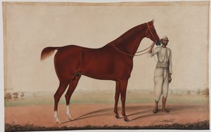 Um cavalo e um noivo, c.1840