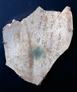 Pictograma numa escápula de boi com um ritual para afastar o perigo (osso)