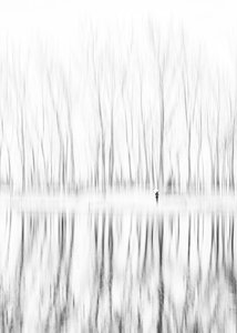 Figura solitária: reflexo de inverno de Shanrui Ren