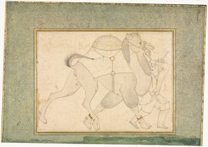 Camel and Groom, Single Page Illustration, c. 1545-1576. de Shaykh Muhammad