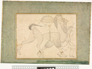 Camelo e Noivo, c.1545-76 de Shaykh Muhammad