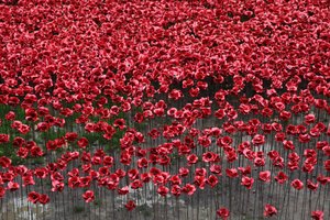Terras varridas sangue e mares do vermelho, torre de Londres, 2014.